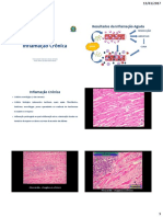 Aula 8 - Inflamação Crônica-1