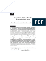 Regulation of Oxidative Stress by Brassi