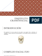 Esqueleto craneofacial