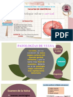 Patologías vulvar y cervical