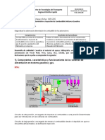 Sistema de Inyeccion Combustible