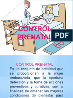 Control prenatal esencial