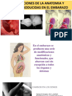 modificaciones de la anatomia y fisiologia  materna en el embarazo