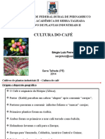 Origem-Importância-Botânica-Ecofisiologia Cafe