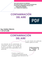 Contaminacion Del Aire, Andrea Atencio