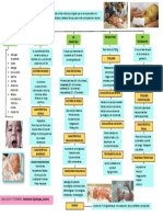 Mapa Conceptual - Rn.pediatria