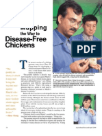 Mapping: Disease-Free Chickens