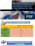 Programacion y Requerimientos de Internos