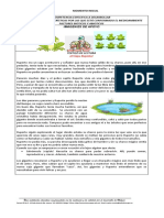 Taller de Ciencias Naturales Guia 6 Como Es El Medio Ambiente Segundo Periodo Del 2021