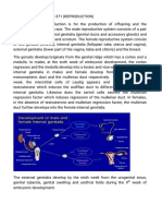 PHS 371 Reproduction-10