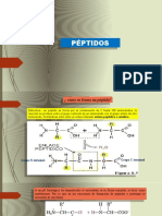 Formación y clasificación de péptidos