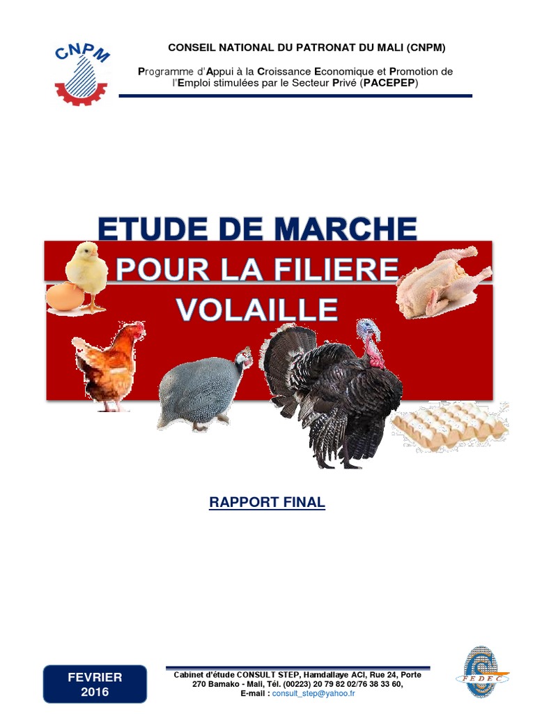 Rapport Final Filière Volaille  PDF  Aviculture  Poulet