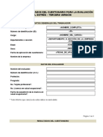 Formato Informe Individual Estrés