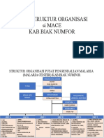 STRUKTUR MALCEN Biak