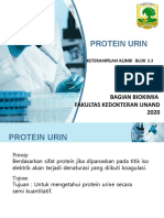 Pengantar KK BLok 3.3 Protein Urin