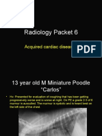 Radiology Packet 6 Acquired Cardiac Diseases