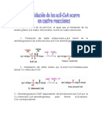 Beta Oxidacion