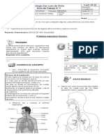 Ciencias Julio. Guia 9 Sistema Respiratorio