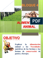 Alimentacion Animal