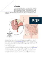 Penyakit Usus Buntu
