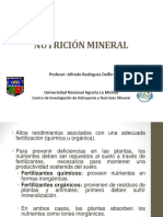 Nutricion-mineral 2020 1