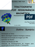 PSI 2008 Trabalho Tractografia