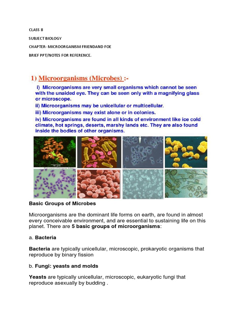 Class 8 Biology: Microorganisms | PDF | Wellness | Science & Mathematics