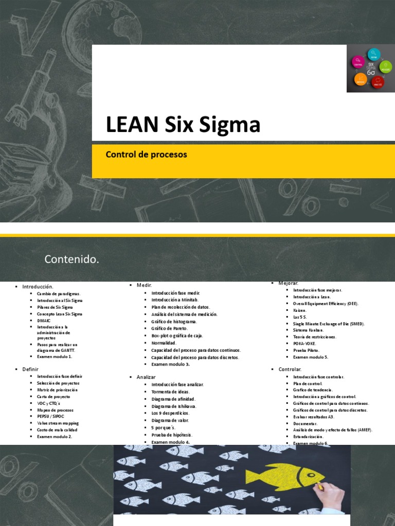 Mapa de Procesos en Lean Six Sigma | PDF | Six Sigma | Cliente