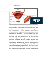 Bagaimana Fisiologi Berkemih
