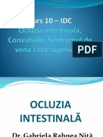 IDC C10 - Ocluzia Intestinala, Convulsiile, SDR de Vena Cava Superioara
