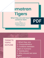 Sumatran Tigers: What They Are and How To Conserve Them