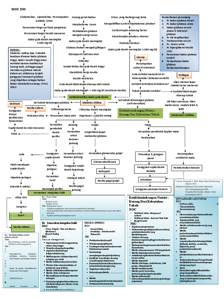 Woc DM | PDF