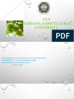 CCS Haryana Agricultural University
