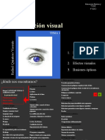 La Percepcion Visual-Tema1