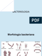 Estructura y Morfologia Bacteriana 2018 I