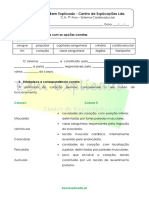 B.1.5 - Ficha de Trabalho - Sistema Cardiovascular