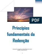19 Princípios Fundamentais Da Redenção - André Pereira Do Carmo