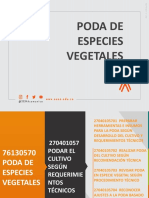 Presentacion Poda de Especies Vegetales