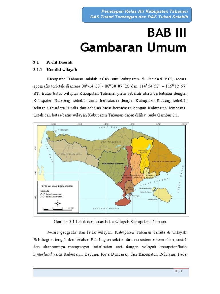 BAB III Gambaran Umum Fix | PDF