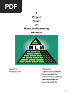 A Project On Multi Level Marketing (Amway)