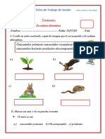 Ficha La Cadena Alimenticia 3ro