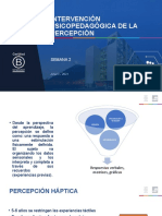 3 - Intervención PSP Percepción