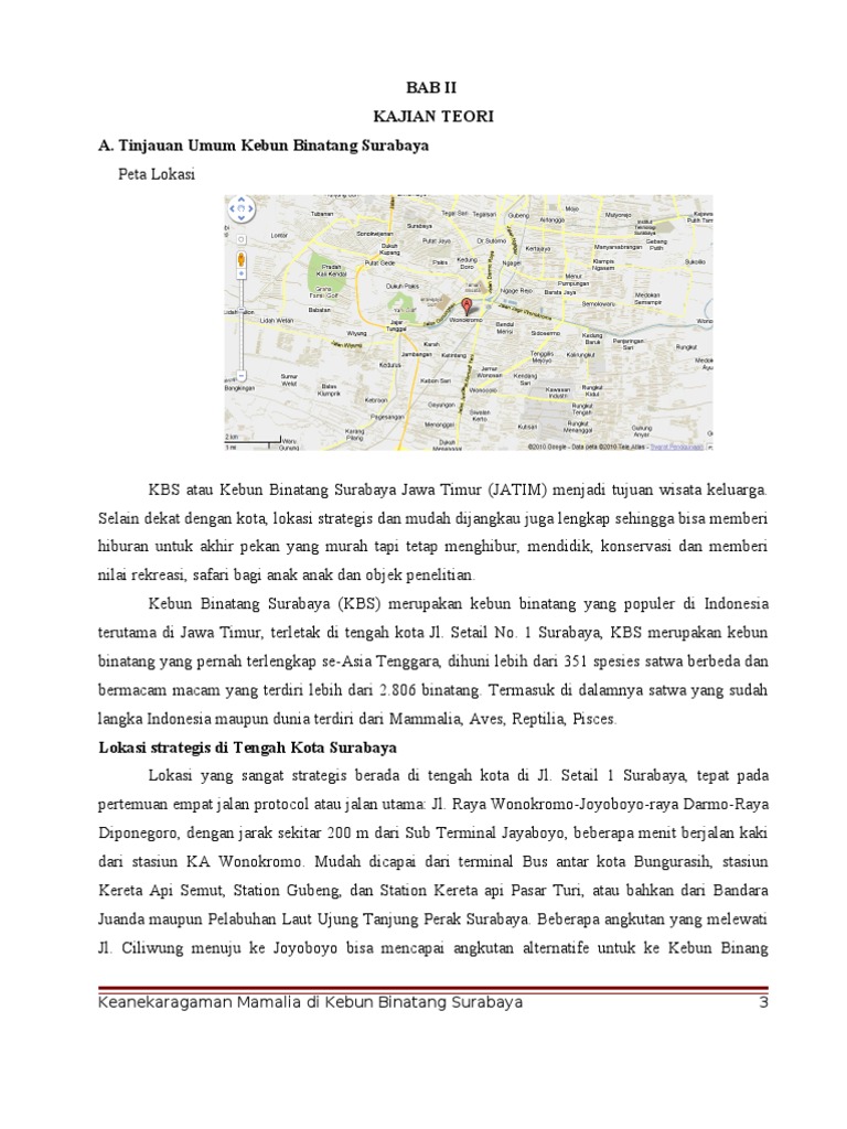 Contoh Teks Laporan Hasil Observasi Tentang Binatang