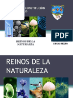 Reino Vegetal