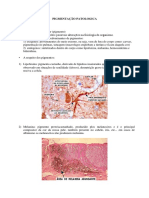 Pigmentação Patologica