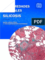 Enfermedades Laborales - Silicosis - Rafael García Pérez
