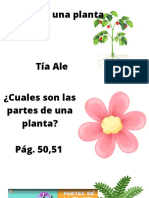 ¿Cuales Son Las Partes de Una Planta Pág. 50,51