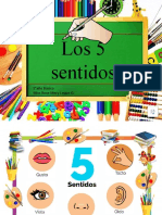 5 Sentidos