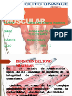 Trabajo de Tono Muscular