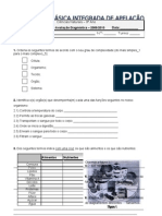 Teste Diagnóstico